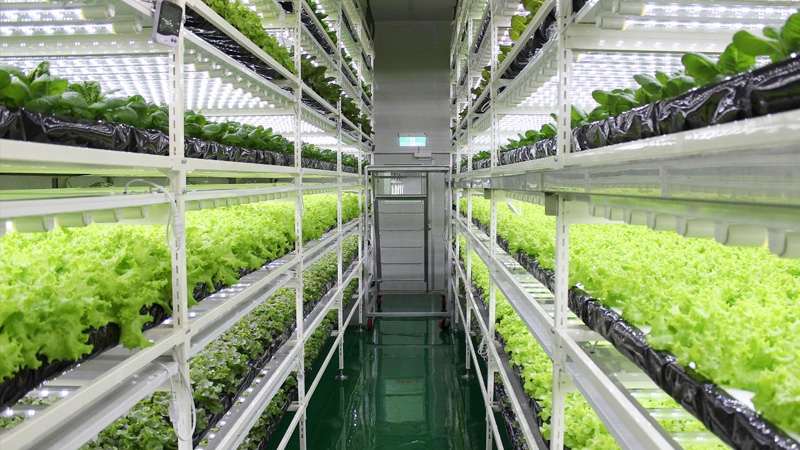 瑞綻塑料pvc型材管堅(jiān)固耐用，節(jié)省空間